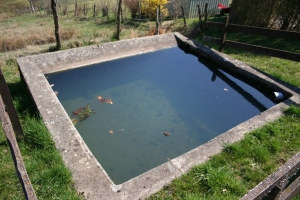 Lavoir de forme carrée en ciment de grande dimension.