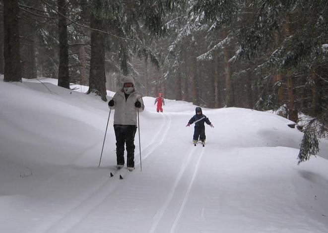 ski de fond