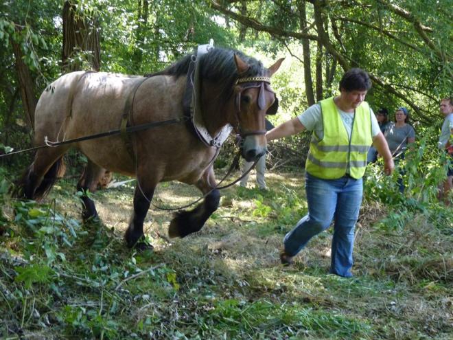 chantier participatif