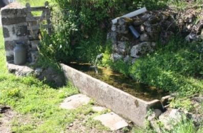 Abreuvoir en ciment