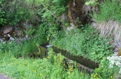 Bac lavoir en ciment