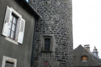 petit château à Pleaux