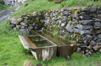 Abreuvoir avec bac lavoir en ciment