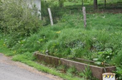 Abreuvoir en ciment