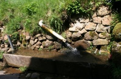 Abreuvoir en ciment