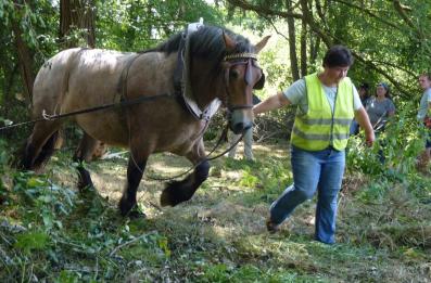 chantier participatif