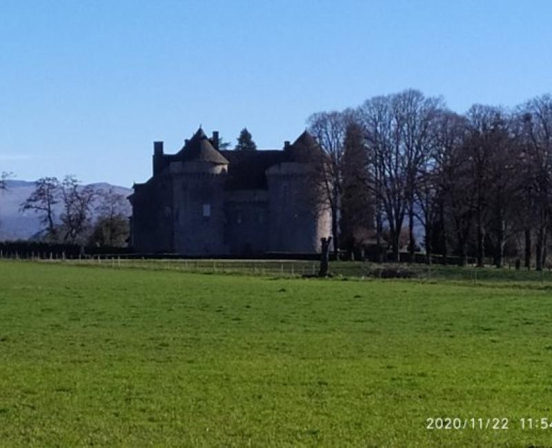 Château de la Vigne