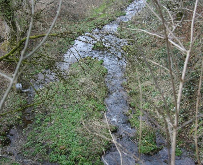 Ruisseau de Tarrieu