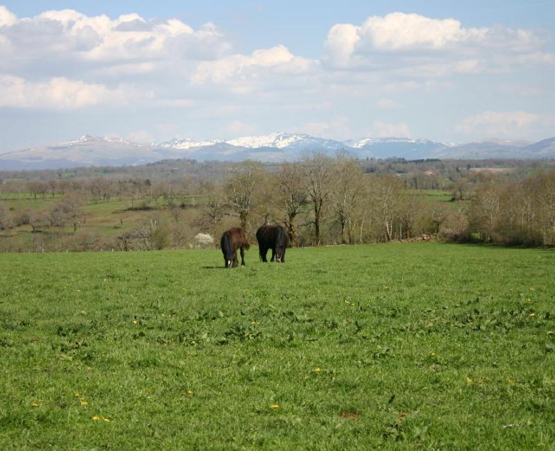 Vue route de Vèze