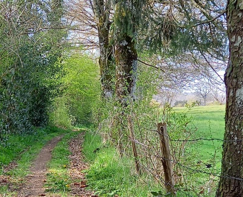 Itinéraire VTT Pays de Salers