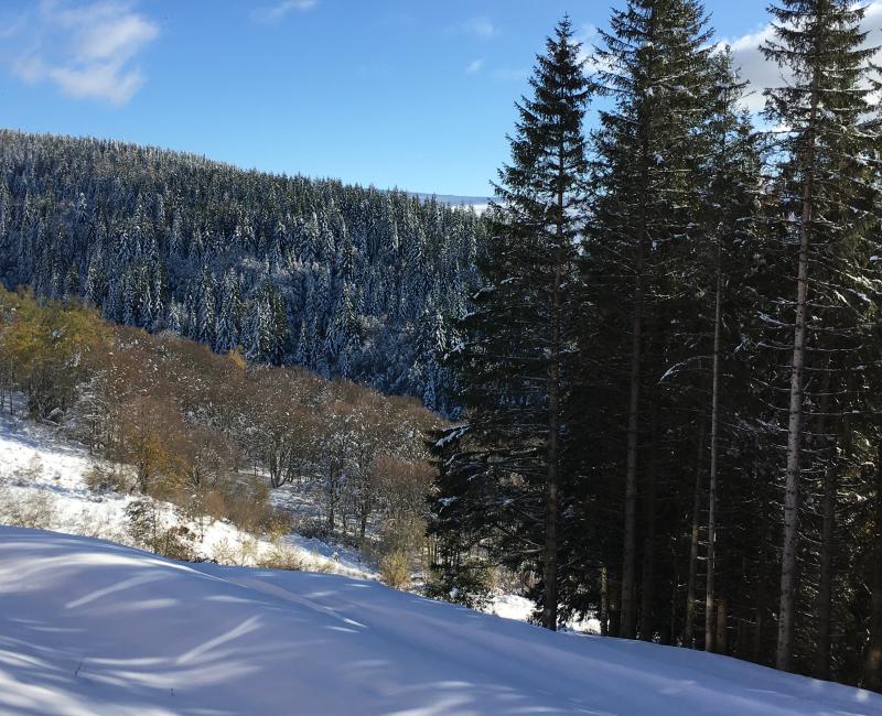 Paysage Col de Légal